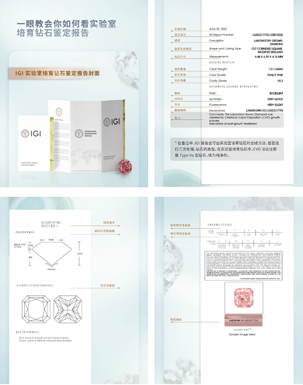 微信图片_20260709192909_8_450.png